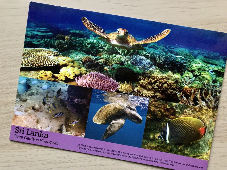 Мир на открытках: Азия, Африка, Австралия, Океания