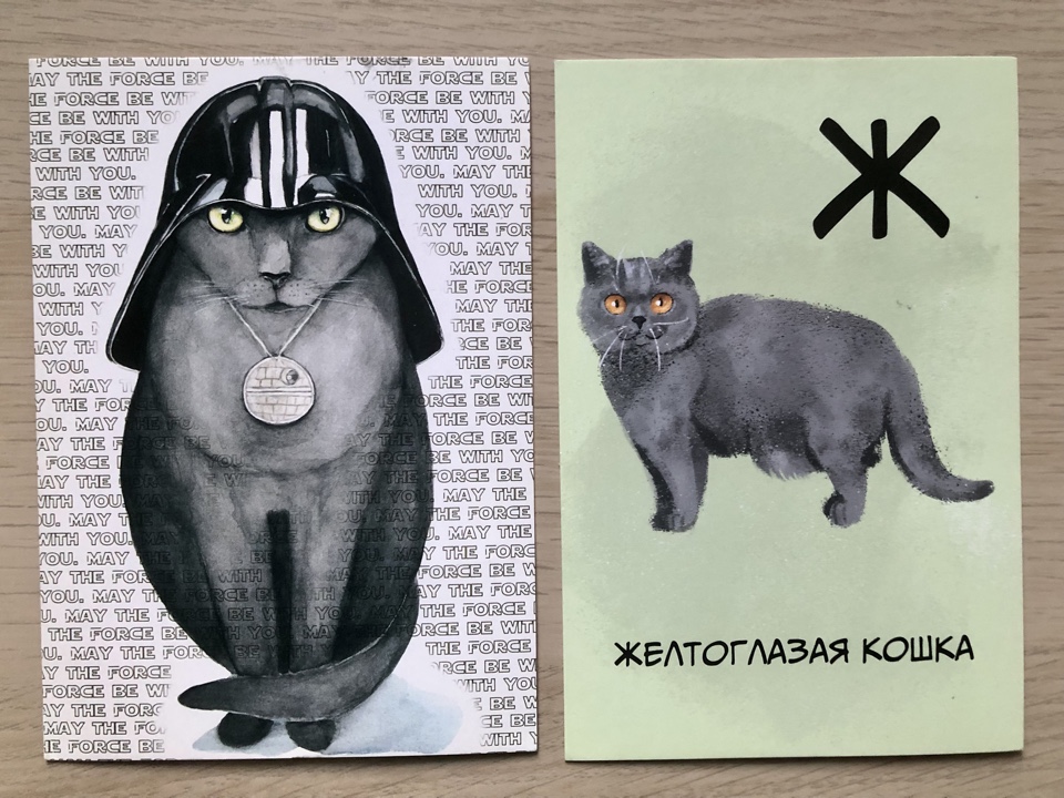 Kotiki_risovannye_15.jpg