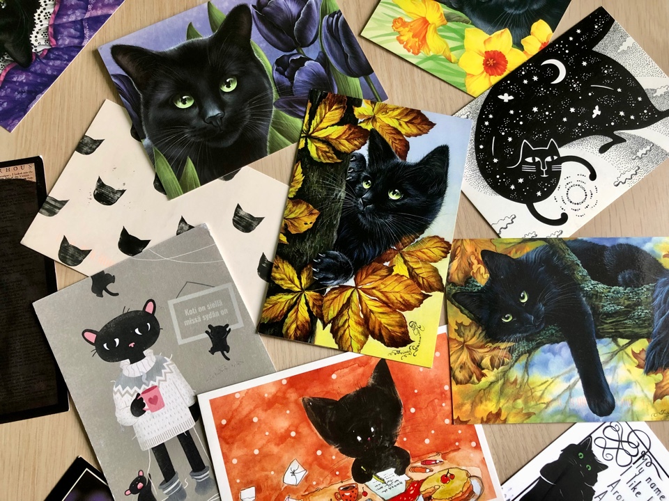 Черные кошки на открытках 