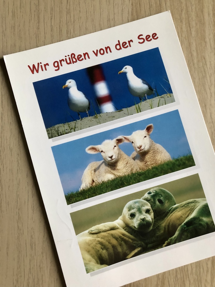 Zv_16.jpg