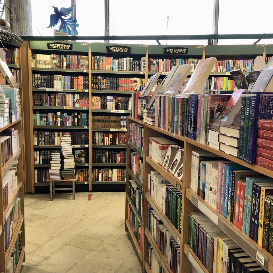 Книжный июнь: современные романы